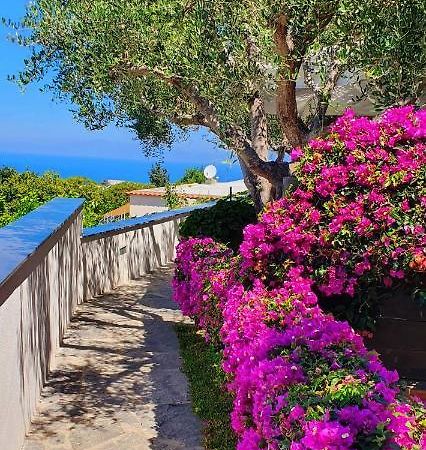 Appartamenti Luongo Forio di Ischia エクステリア 写真