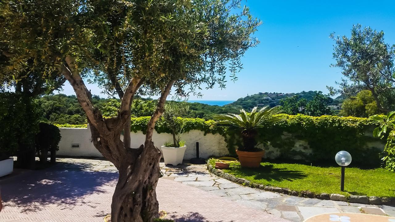 Appartamenti Luongo Forio di Ischia エクステリア 写真