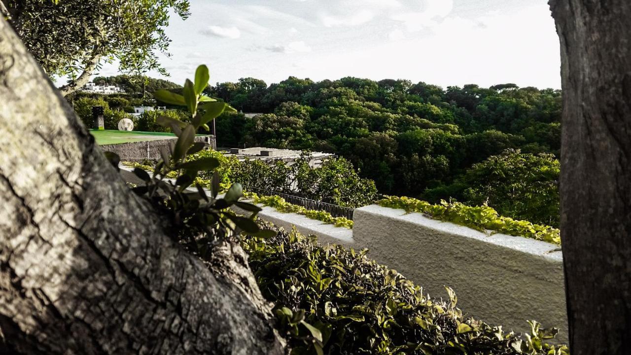 Appartamenti Luongo Forio di Ischia エクステリア 写真