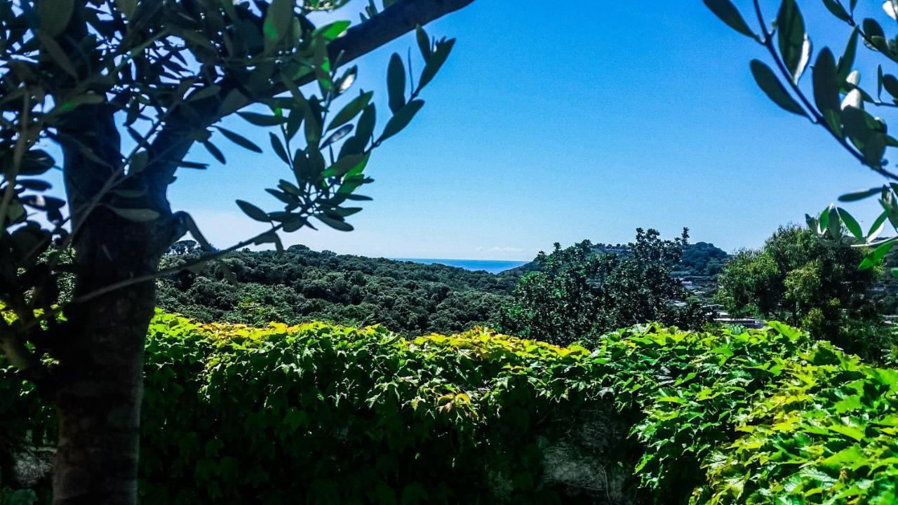 Appartamenti Luongo Forio di Ischia エクステリア 写真