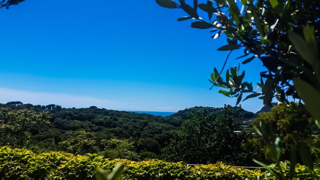 Appartamenti Luongo Forio di Ischia エクステリア 写真