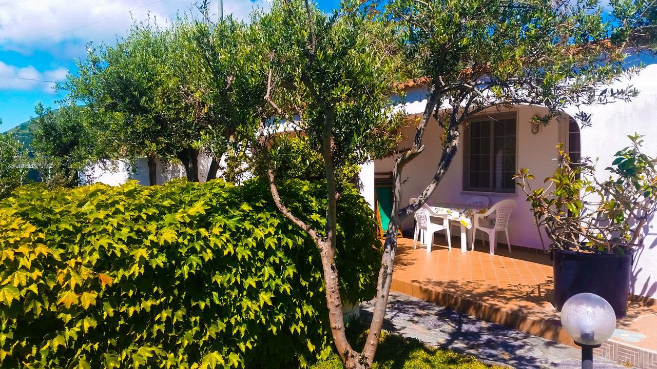 Appartamenti Luongo Forio di Ischia エクステリア 写真